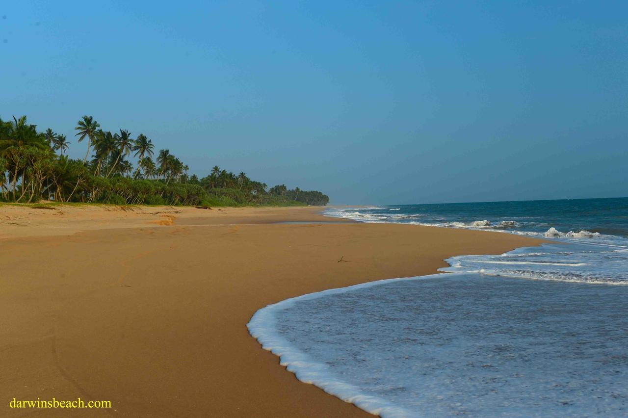 Darwins Beach Resort Tangalle Exterior foto